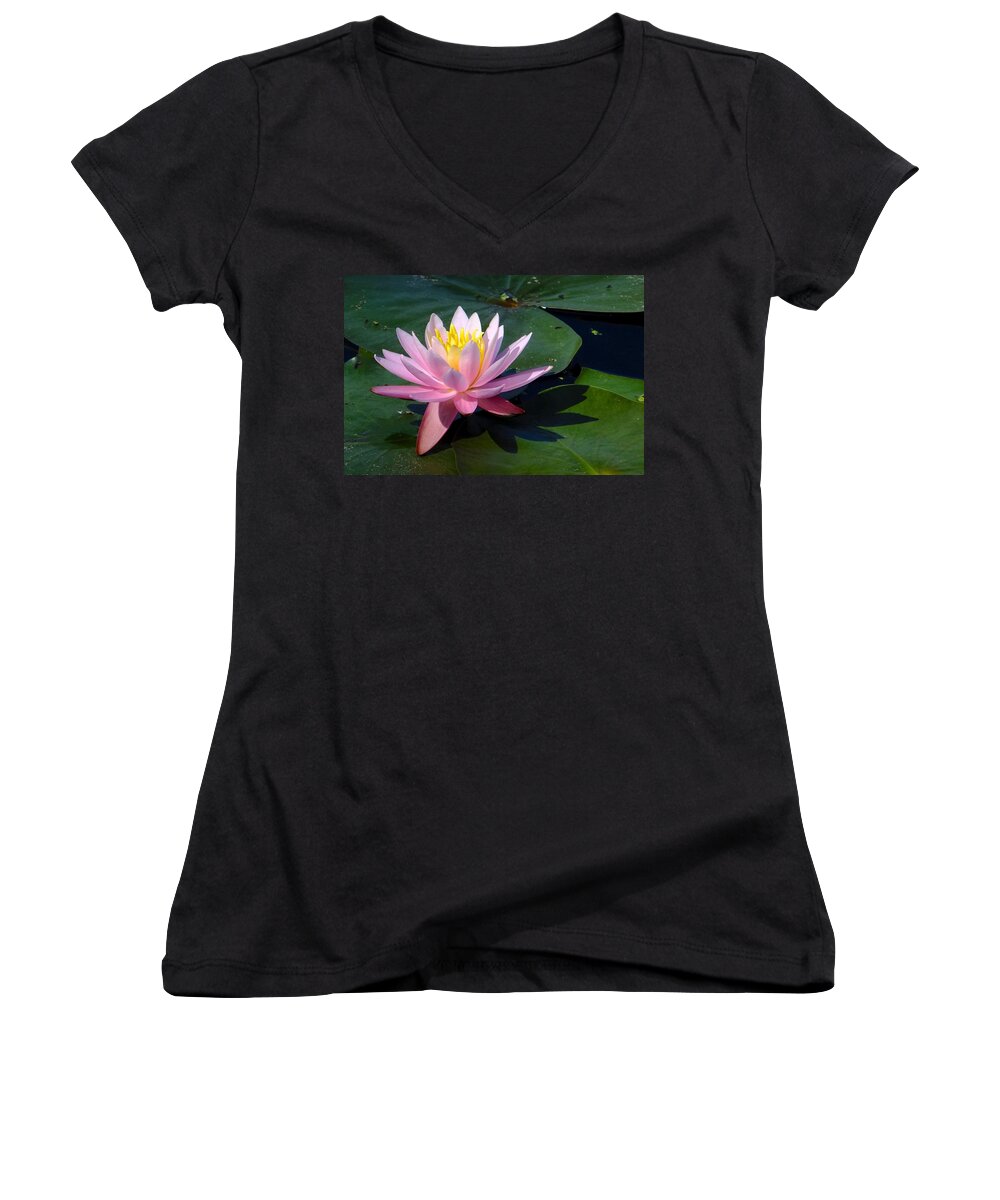 Water Lily Women's V-Neck featuring the photograph Water Lily in Mountain Lake by Tana Reiff