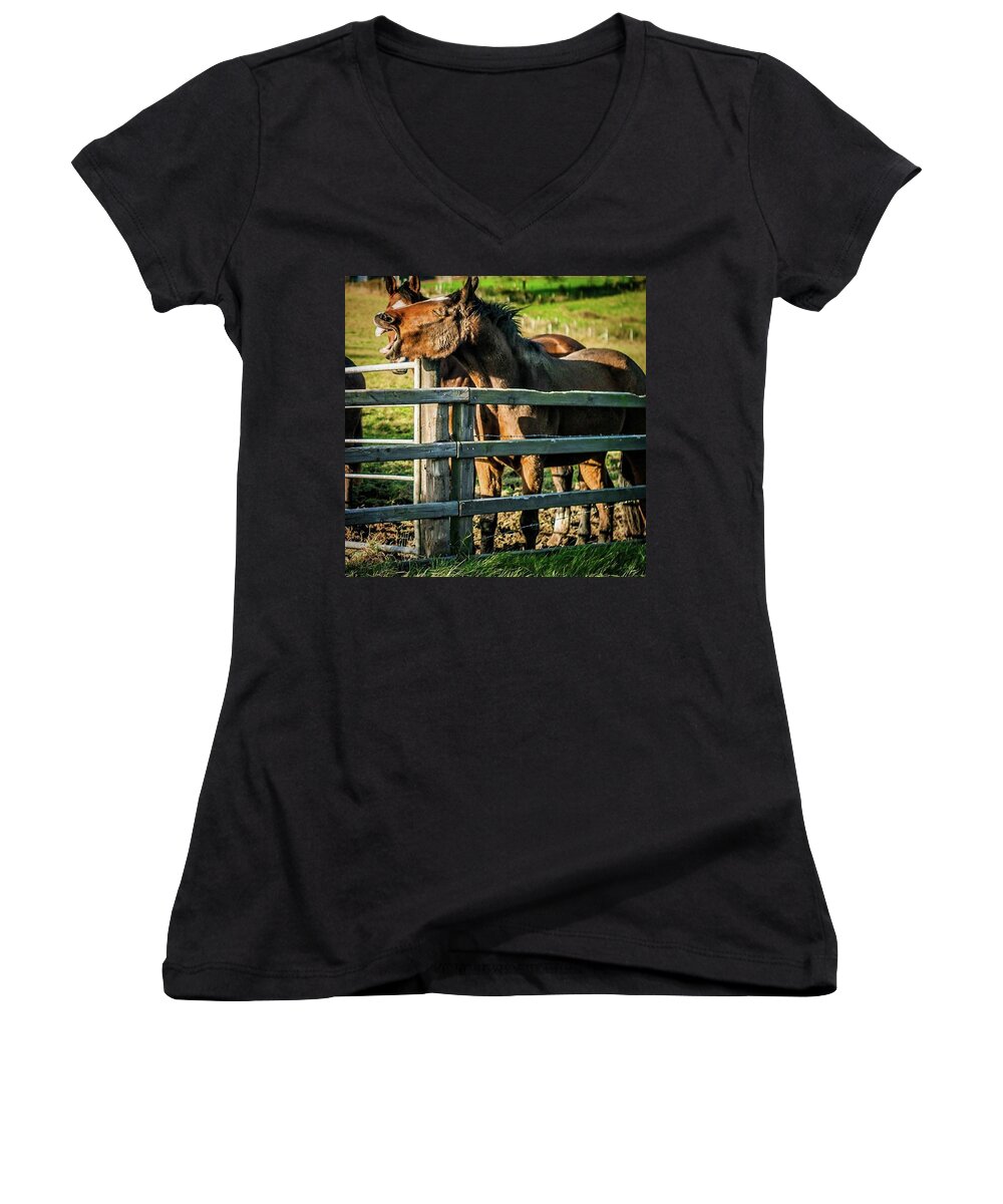 Equestrian Women's V-Neck featuring the photograph We All Have A Friend Who Is Hilarious by Aleck Cartwright