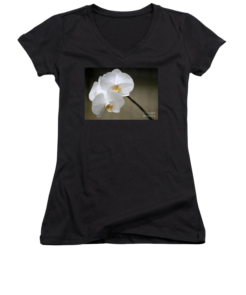 Orchid Women's V-Neck featuring the photograph Wet White Orchids by Sabrina L Ryan
