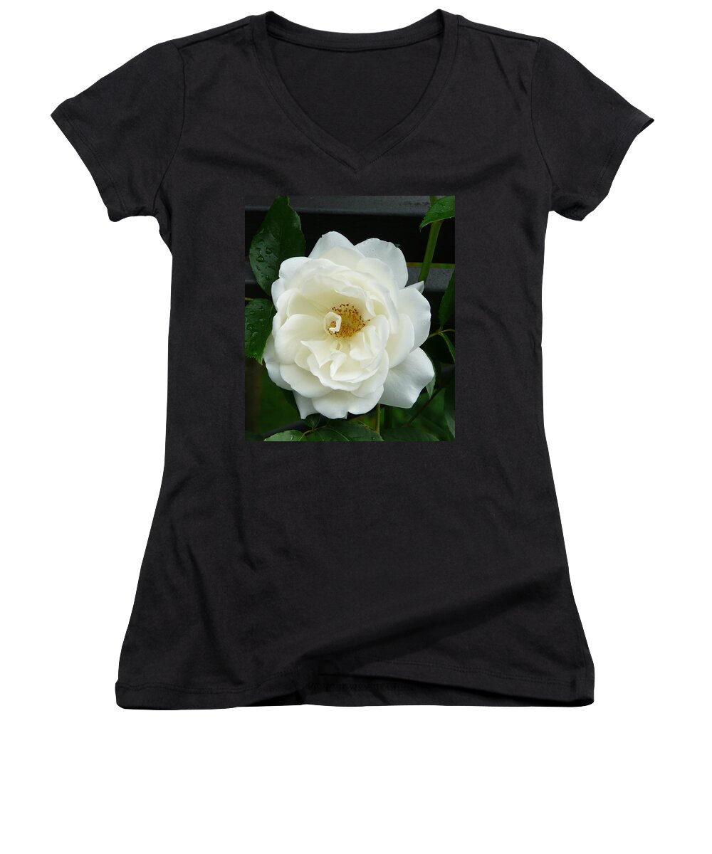 Rose Women's V-Neck featuring the photograph White Rose by Valerie Ornstein