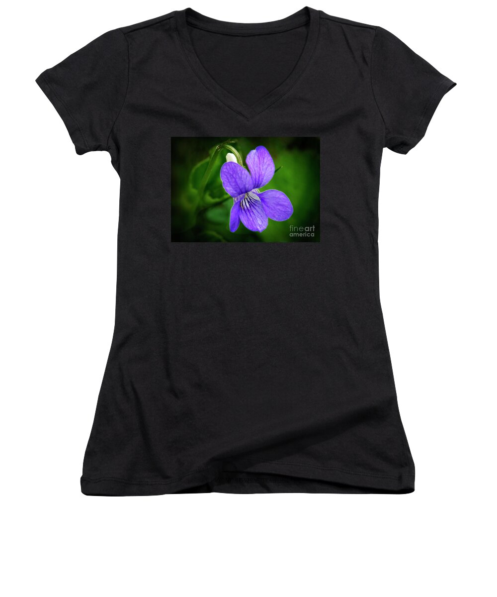 Violet Women's V-Neck featuring the photograph Wild Violet Flower by Martyn Arnold