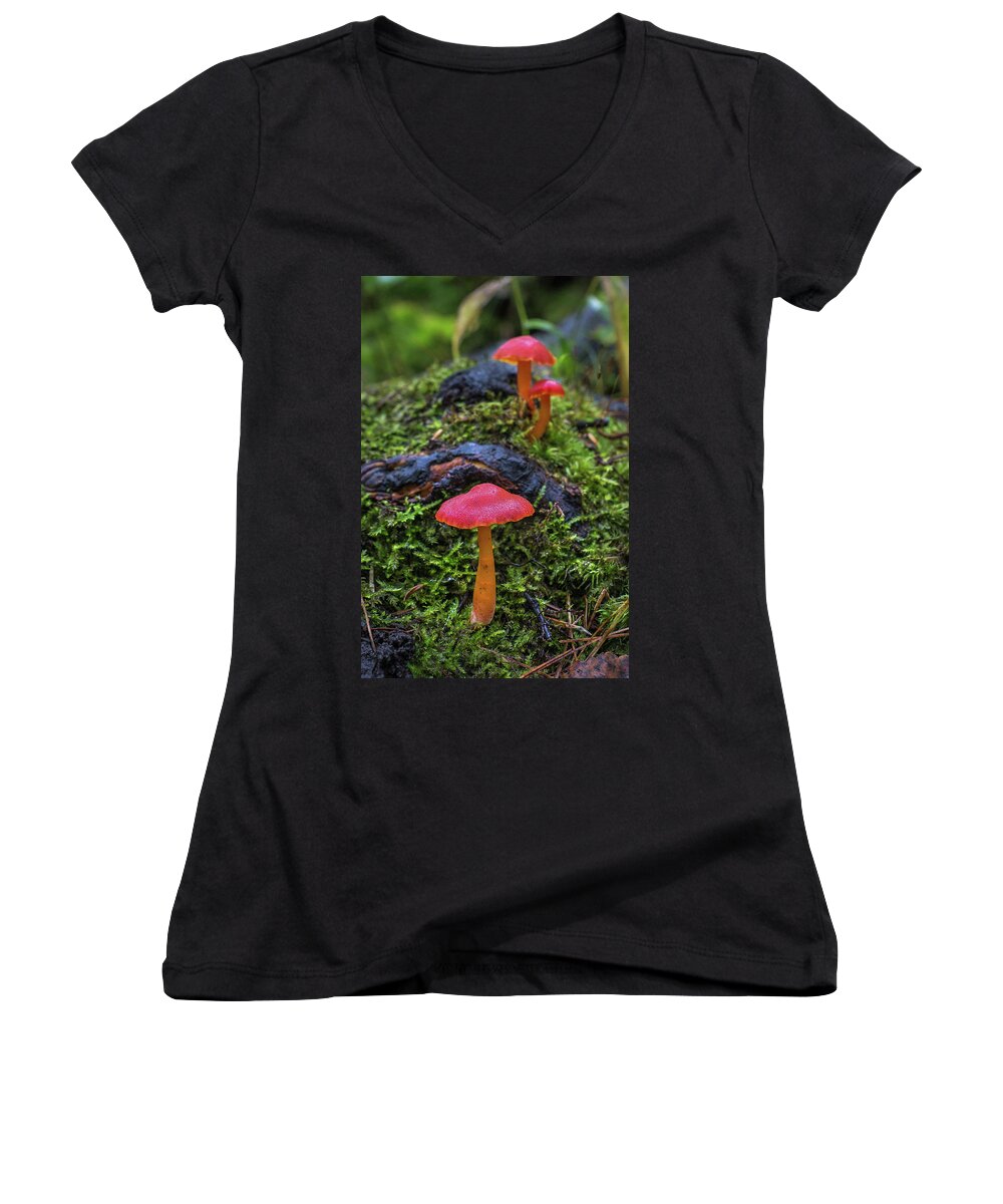 Bill Pevlor Women's V-Neck featuring the photograph Woodland Floor Decor by Bill Pevlor