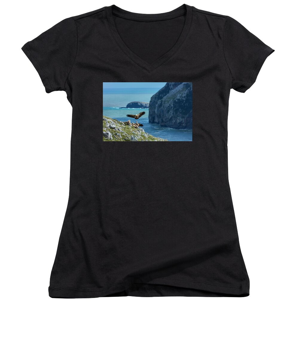 Animal Women's V-Neck featuring the photograph Griffon Vulture Landing Amongst Other Vultures On Cliff #1 by Juan Carlos Munoz / Naturepl.com