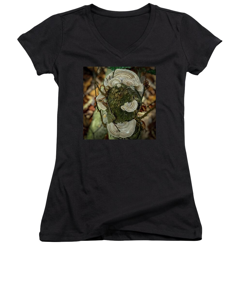 Tree Fungus Women's V-Neck featuring the photograph Another Fungus by Lora J Wilson