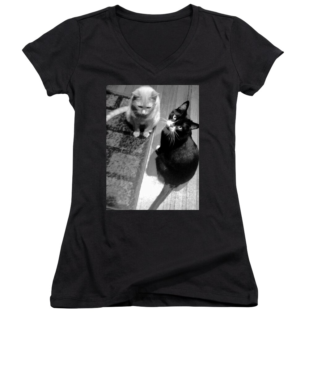 Tan Cat Women's V-Neck featuring the photograph Are You Okay by Debra Grace Addison