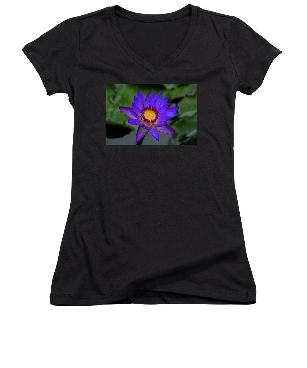 Hawaii Women's V-Neck featuring the photograph Blooming Lilly by G Lamar Yancy