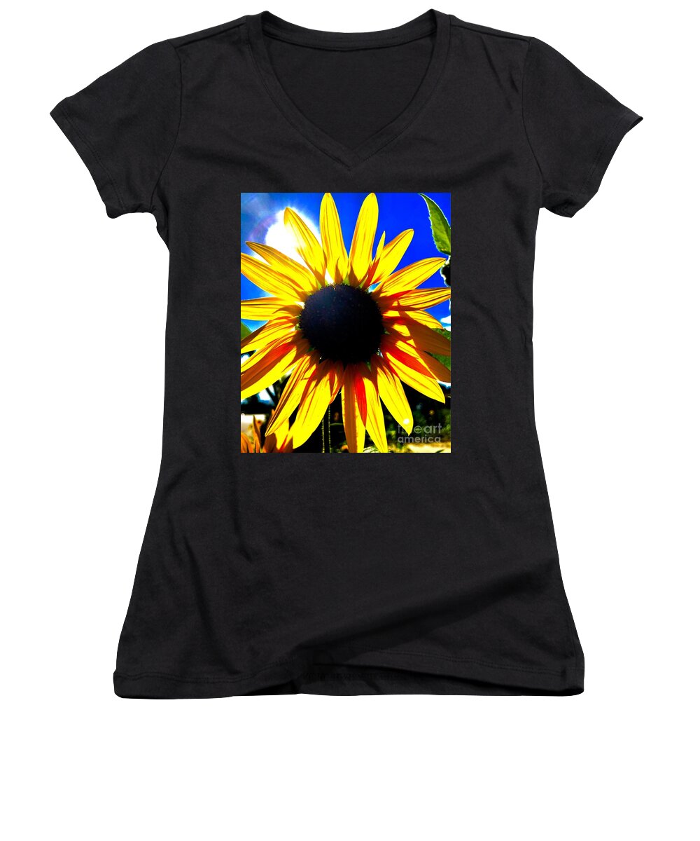Sunflower Women's V-Neck featuring the photograph Glowing Sunflower by Jim DeLillo