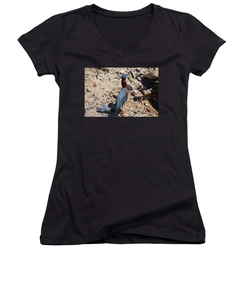 Green Heron Women's V-Neck featuring the photograph Green Heron Strut by Climate Change VI - Sales