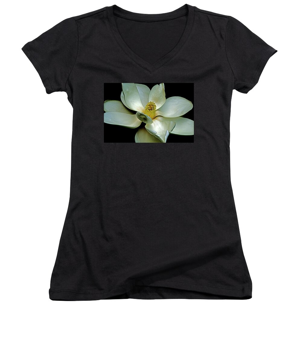 Magnolia Women's V-Neck featuring the photograph Magnolia 2006 01 by Jim Dollar