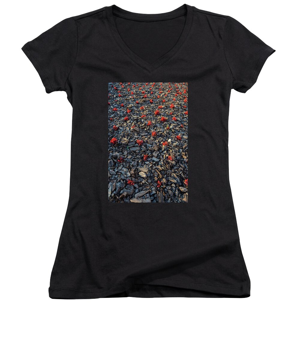 Red Flowers Women's V-Neck featuring the photograph Red flowers over stones by Borja Robles