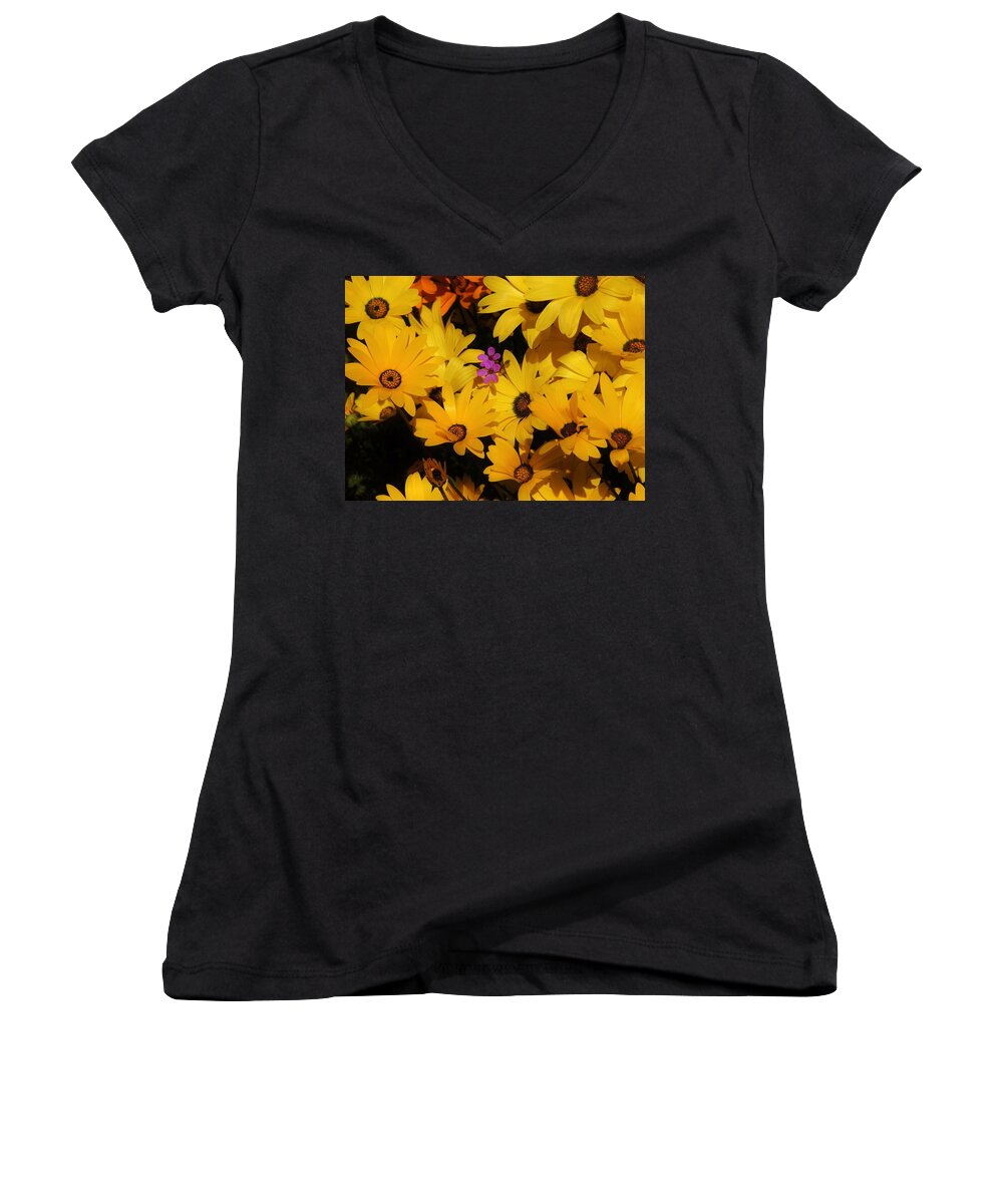 African Daisies Women's V-Neck featuring the photograph Spring in the neighborhood by Helen Carson