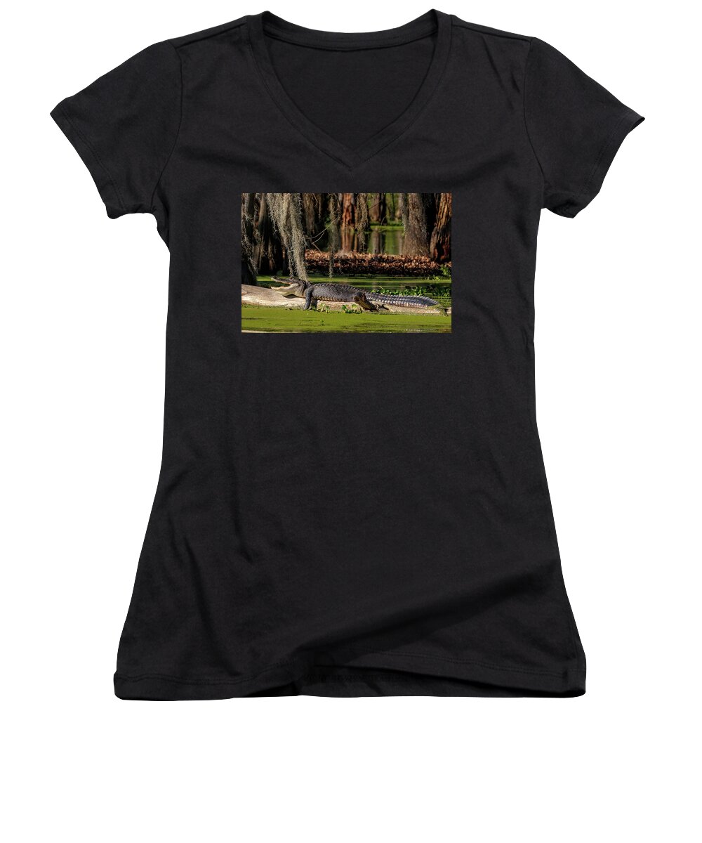 Wildlife Women's V-Neck featuring the photograph Swamp Gator by JASawyer Imaging