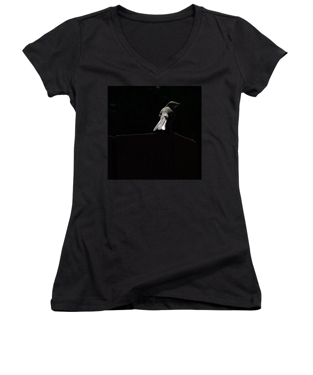 Tail Feathers Women's V-Neck featuring the photograph Tail Feathers by Bill Tomsa