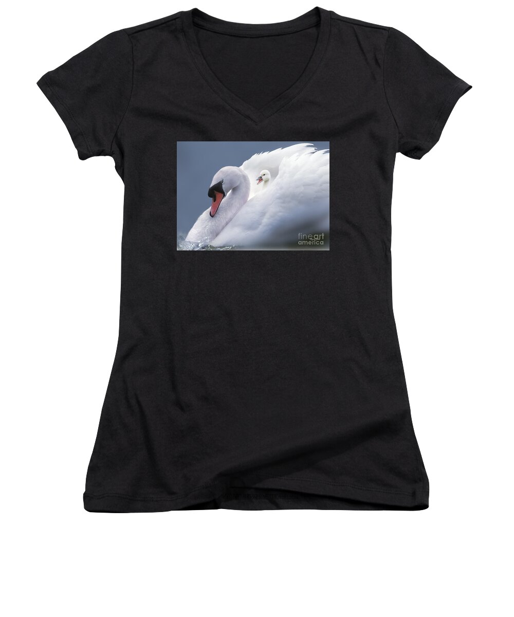 Swan Women's V-Neck featuring the pyrography A Bed of Feathers by Morag Bates