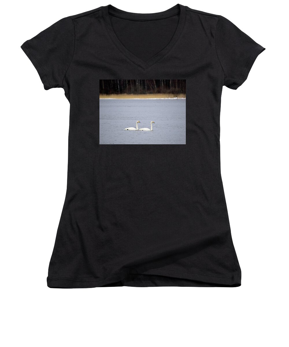  Women's V-Neck featuring the photograph And I will follow. Whooper swan by Jouko Lehto