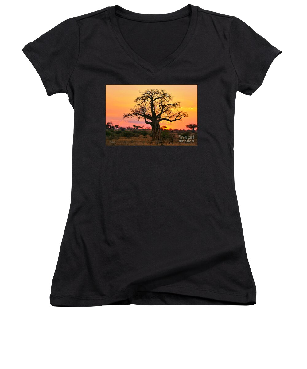 Arid Climate Women's V-Neck featuring the photograph Baobab tree at sunset by Bruce Block