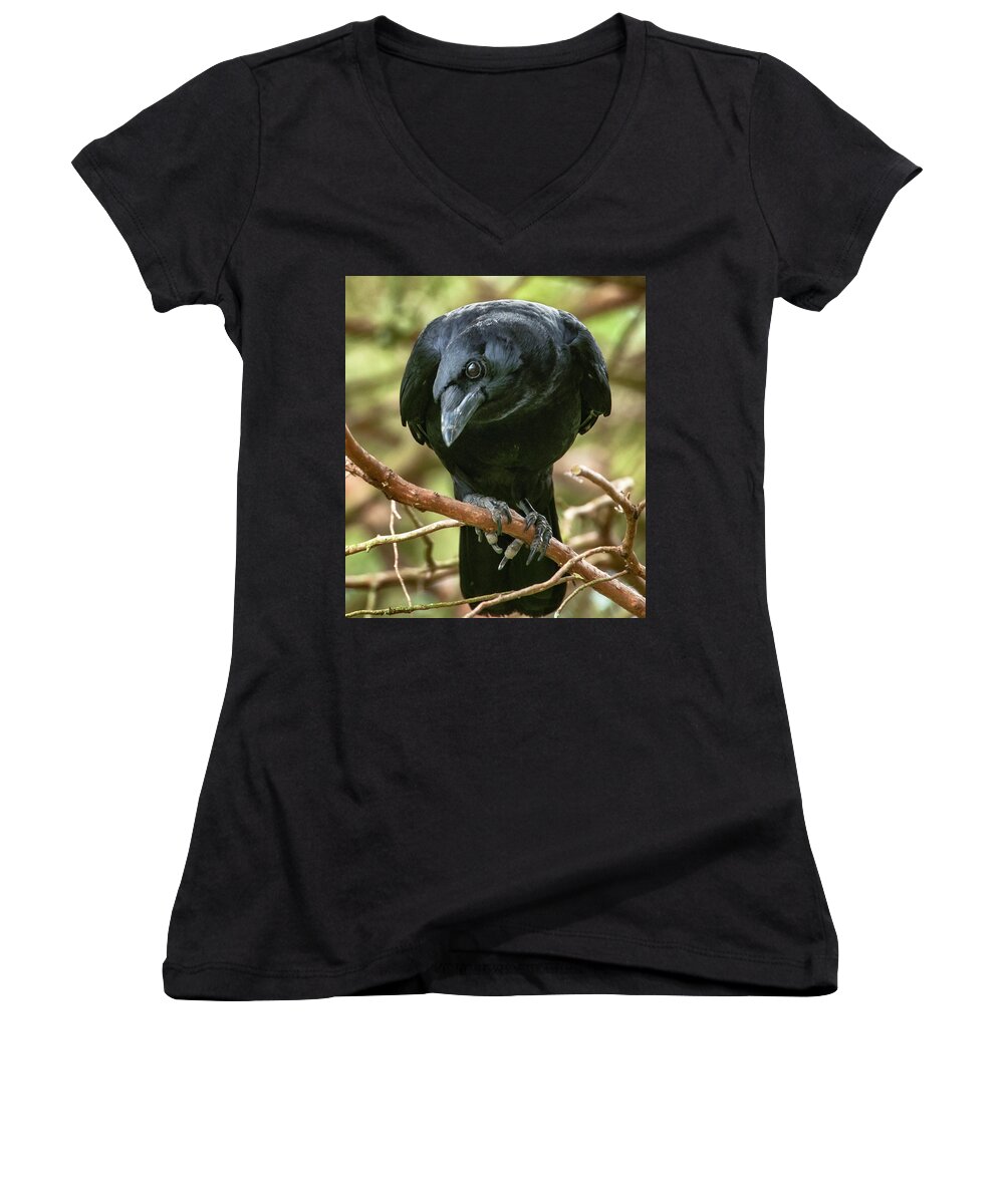 Alexandria Women's V-Neck featuring the photograph Curious Crow by Jim Moore
