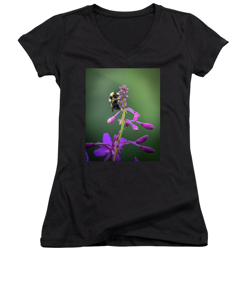 Fireweed Women's V-Neck featuring the photograph Fireweed Bumble Bee by David Downs