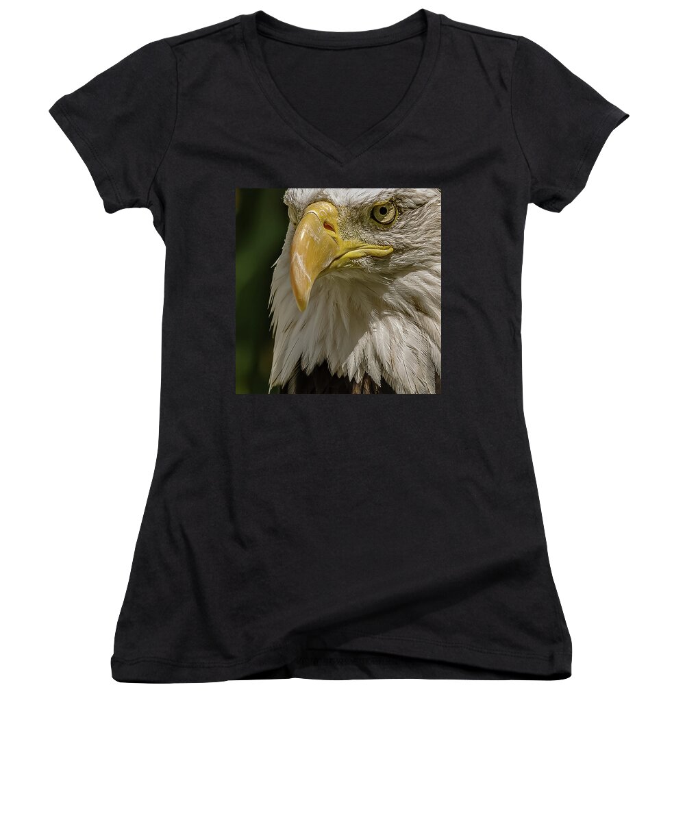American Bald Eagle Women's V-Neck featuring the photograph In Command by Yeates Photography