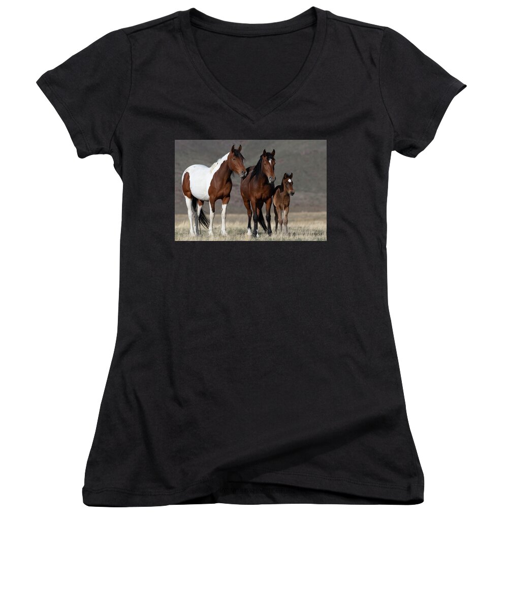 Wild Horses Women's V-Neck featuring the photograph Little Family by Mary Hone