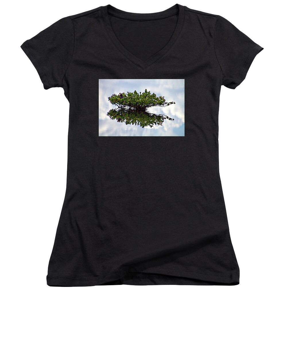 Merritt Island Women's V-Neck featuring the photograph Lonely Tree by Bill Barber