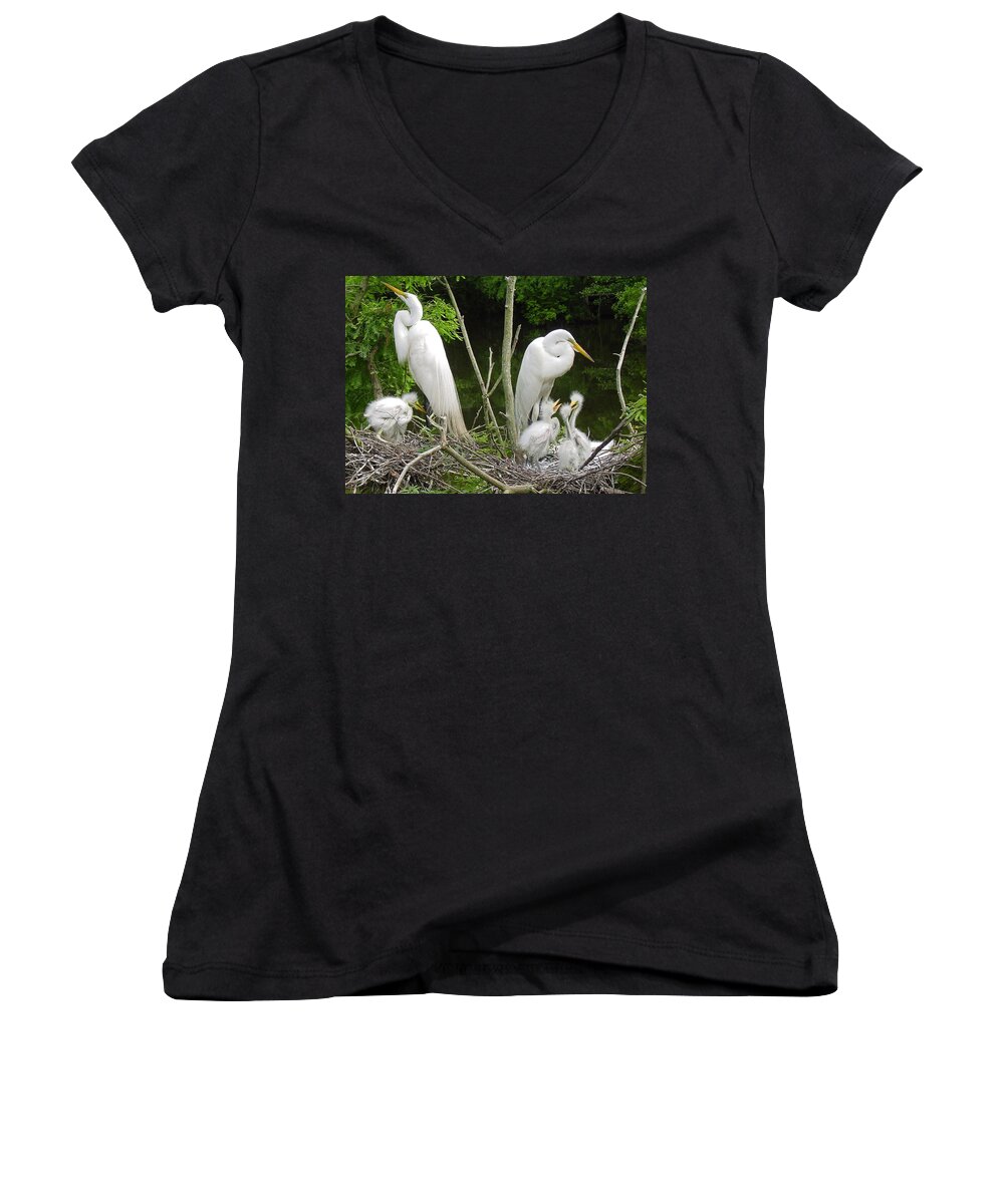 Great White Egret Women's V-Neck featuring the photograph Mom n Pop n Chicks by Suzanne Gaff