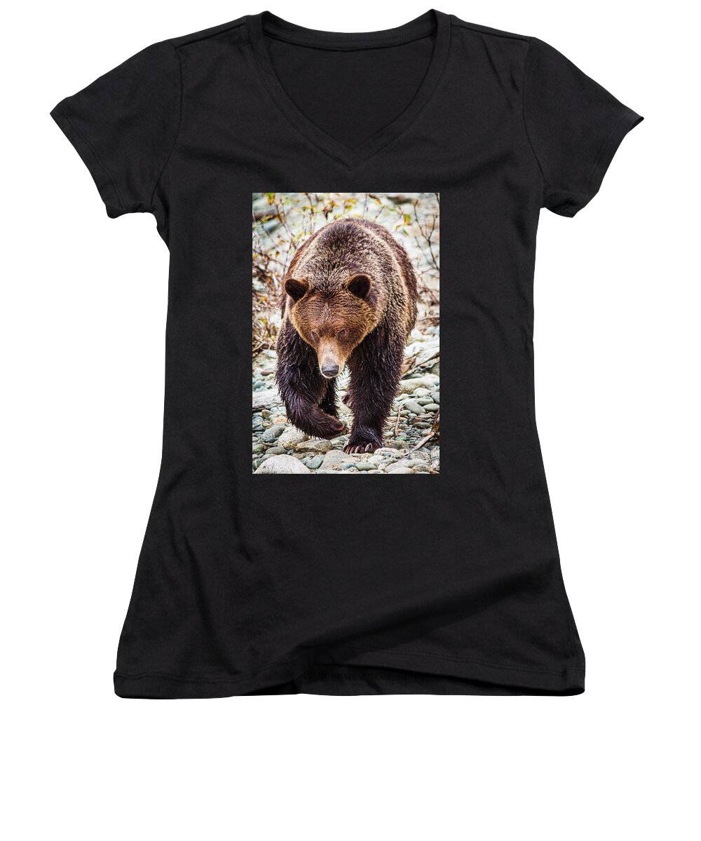Wildlife Women's V-Neck featuring the photograph Mr. Grizz by Claude Dalley