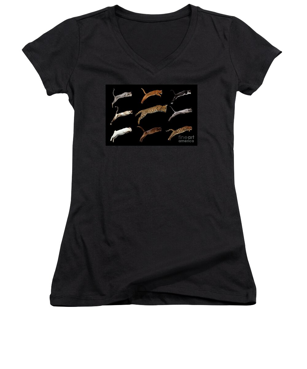 Cat Women's V-Neck featuring the photograph Nine Cats by Sergey Taran