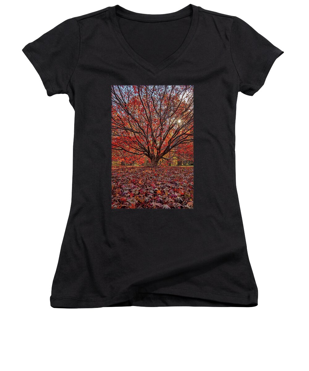 Sparkle Women's V-Neck featuring the photograph Sparkle of Fall by Erika Fawcett