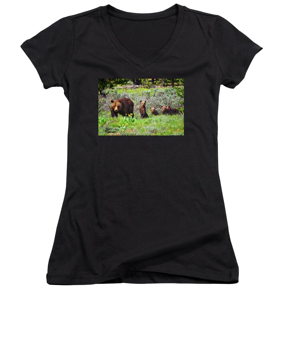 Grizzly 399 Women's V-Neck featuring the photograph Where Are We Going Mom? by Greg Norrell