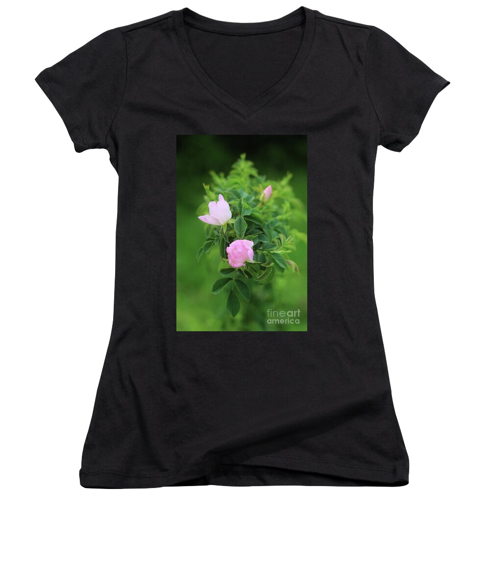 Wild Women's V-Neck featuring the photograph Wild Pink Rose by Terri Waters