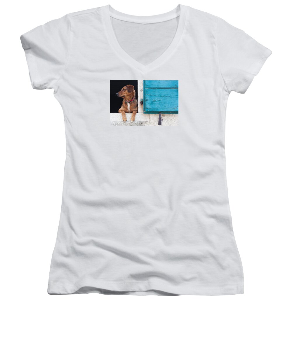 Dog Image Print Women's V-Neck featuring the photograph Waiting by David Davies