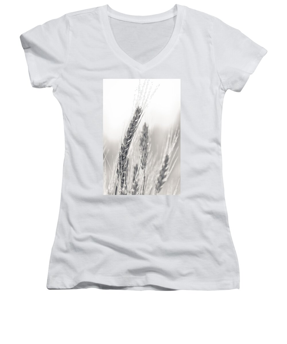 B&w Women's V-Neck featuring the photograph Wheat #2 by Alexander Fedin