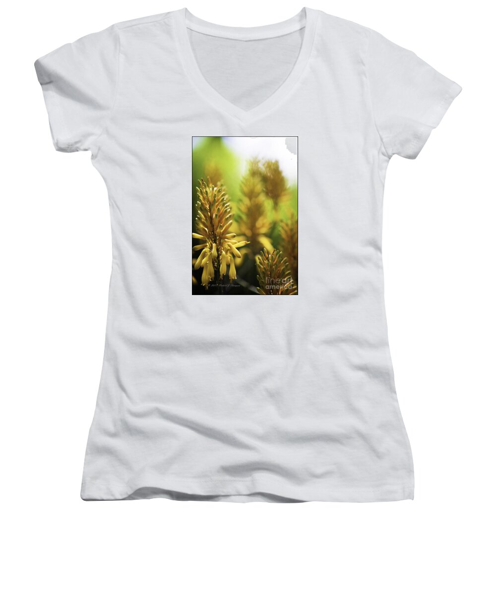 Aloe Women's V-Neck featuring the photograph Aloe 'kujo' Plant by Richard J Thompson 