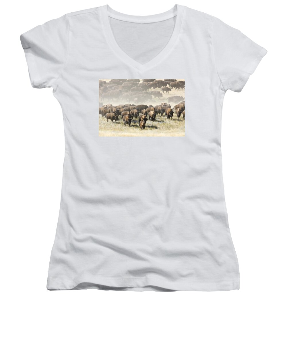 American Bison Women's V-Neck featuring the photograph American Bison Herd by Craig K. Lorenz