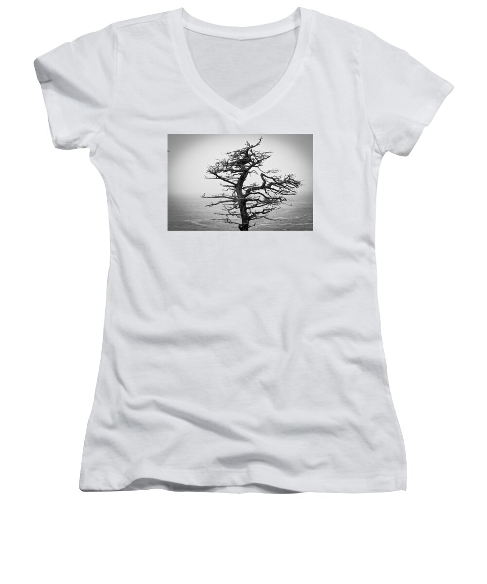 Moody Women's V-Neck featuring the photograph Bare Cypress by Melinda Ledsome