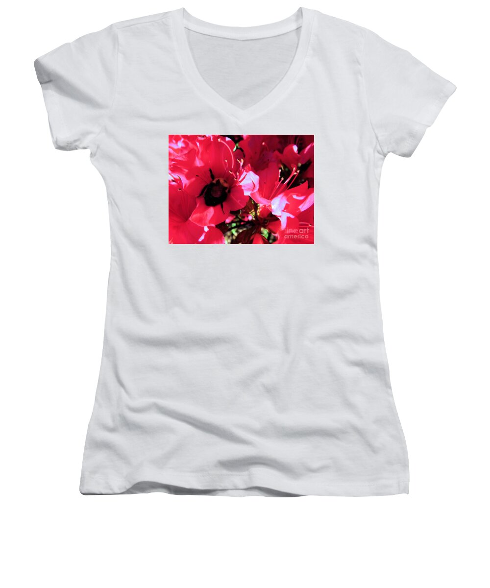 Landscape Women's V-Neck featuring the photograph Bottoms Up by Robyn King