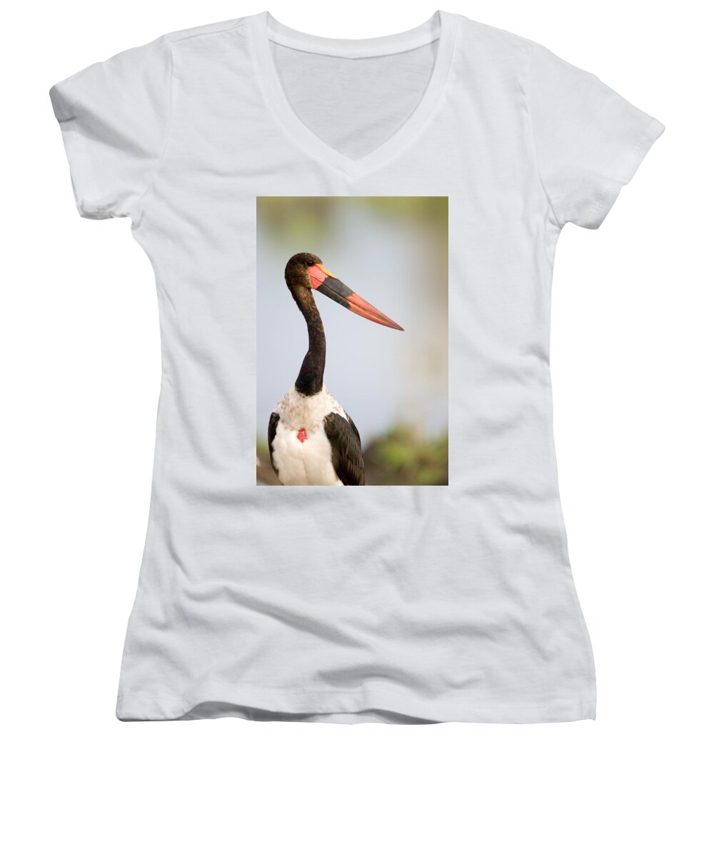 Photography Women's V-Neck featuring the photograph Close-up Of A Saddle Billed Stork by Panoramic Images