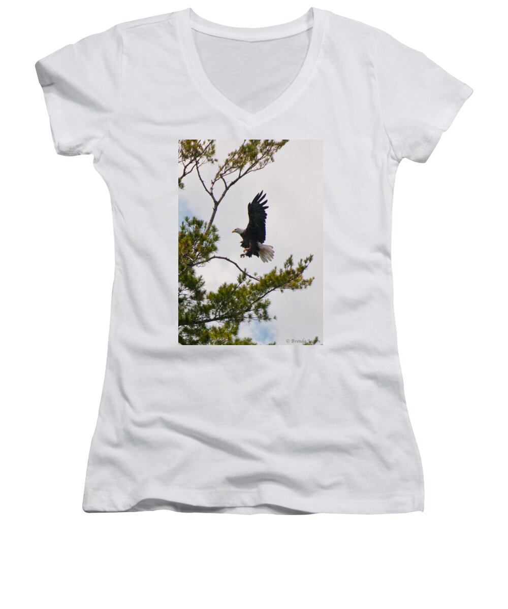 Bald Eagle Women's V-Neck featuring the photograph Coming in For a Landing by Brenda Jacobs