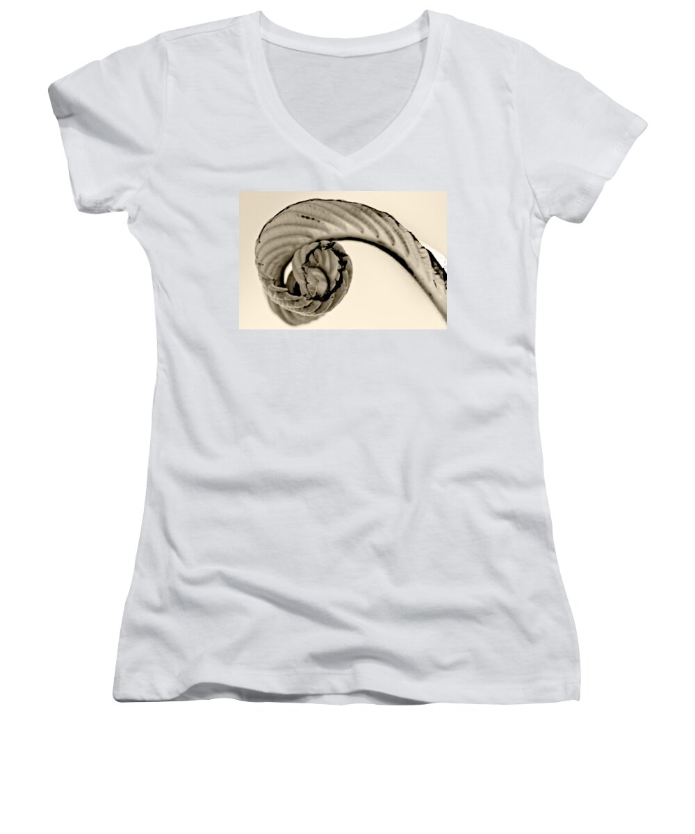  Flower Women's V-Neck featuring the photograph Curled by Melinda Ledsome