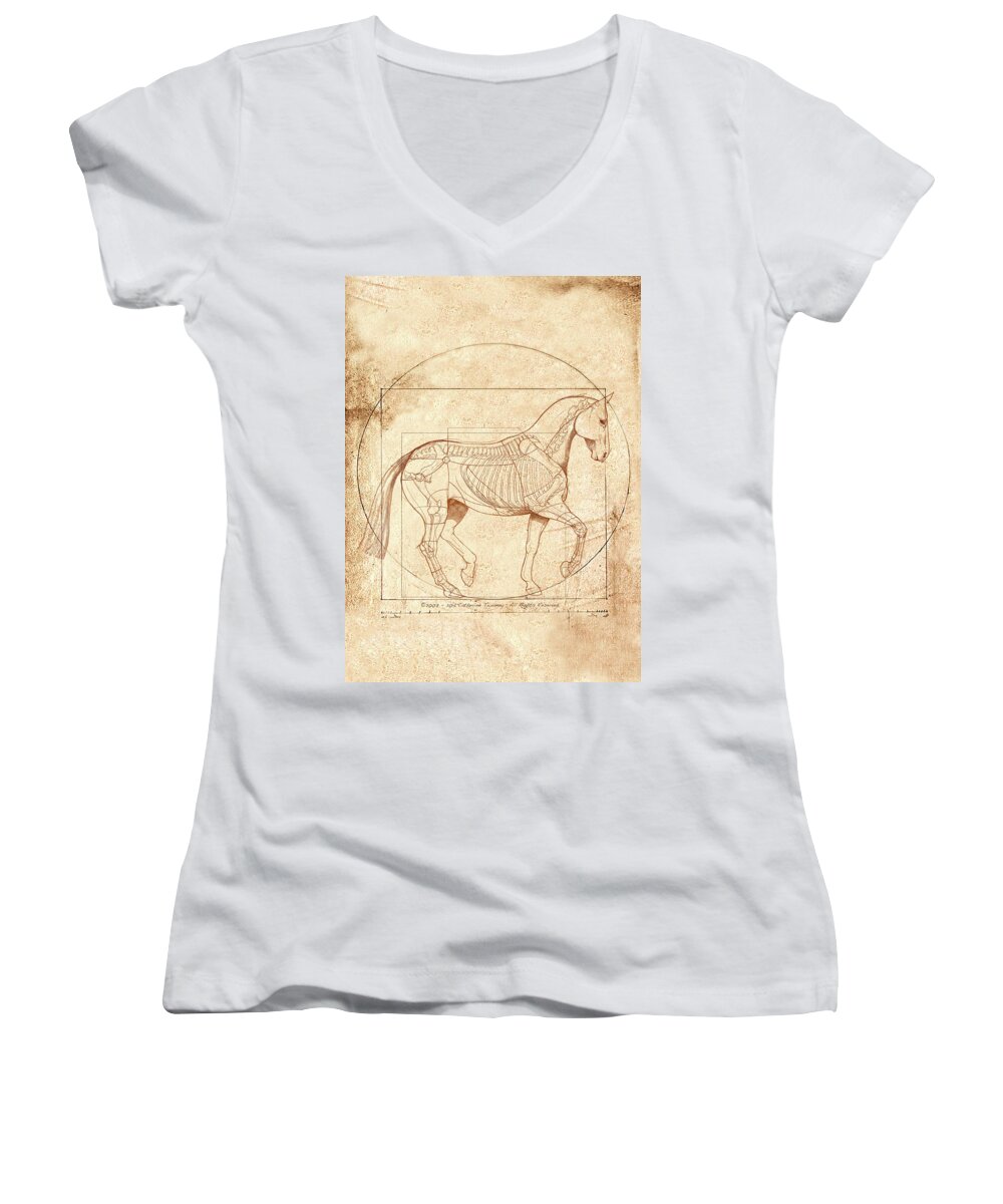 Equine Women's V-Neck featuring the painting da Vinci Horse in Piaffe by Catherine Twomey