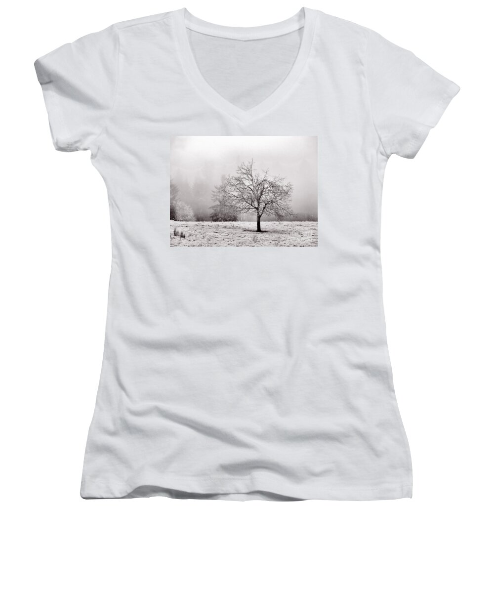Landscape Women's V-Neck featuring the photograph Dreaming Of Life To Come by Rory Siegel