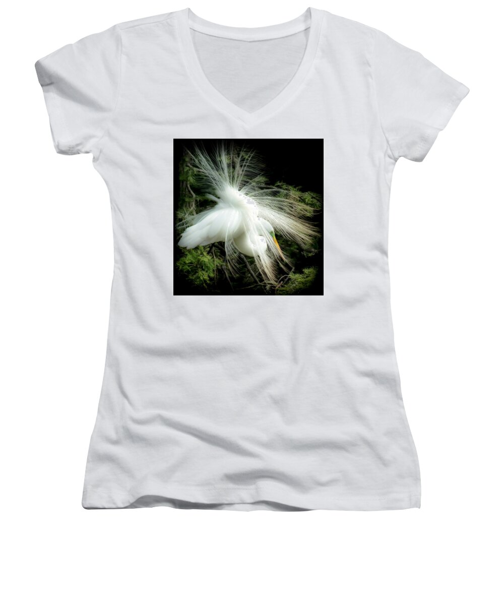 White Egret Women's V-Neck featuring the photograph ELEGANCE of CREATION by Karen Wiles