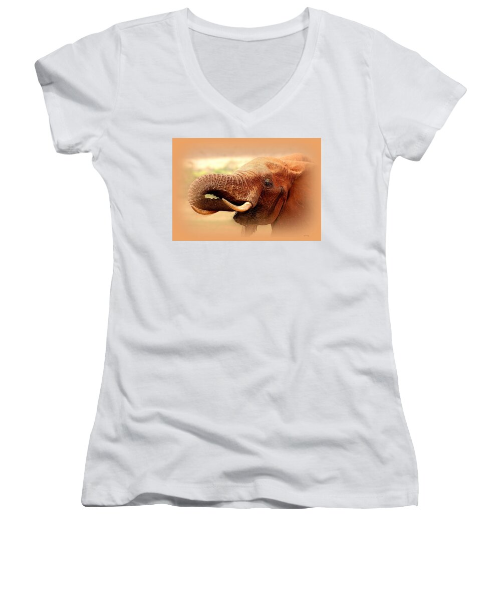Elephant Women's V-Neck featuring the photograph Extinction Is Forever by Sue Long