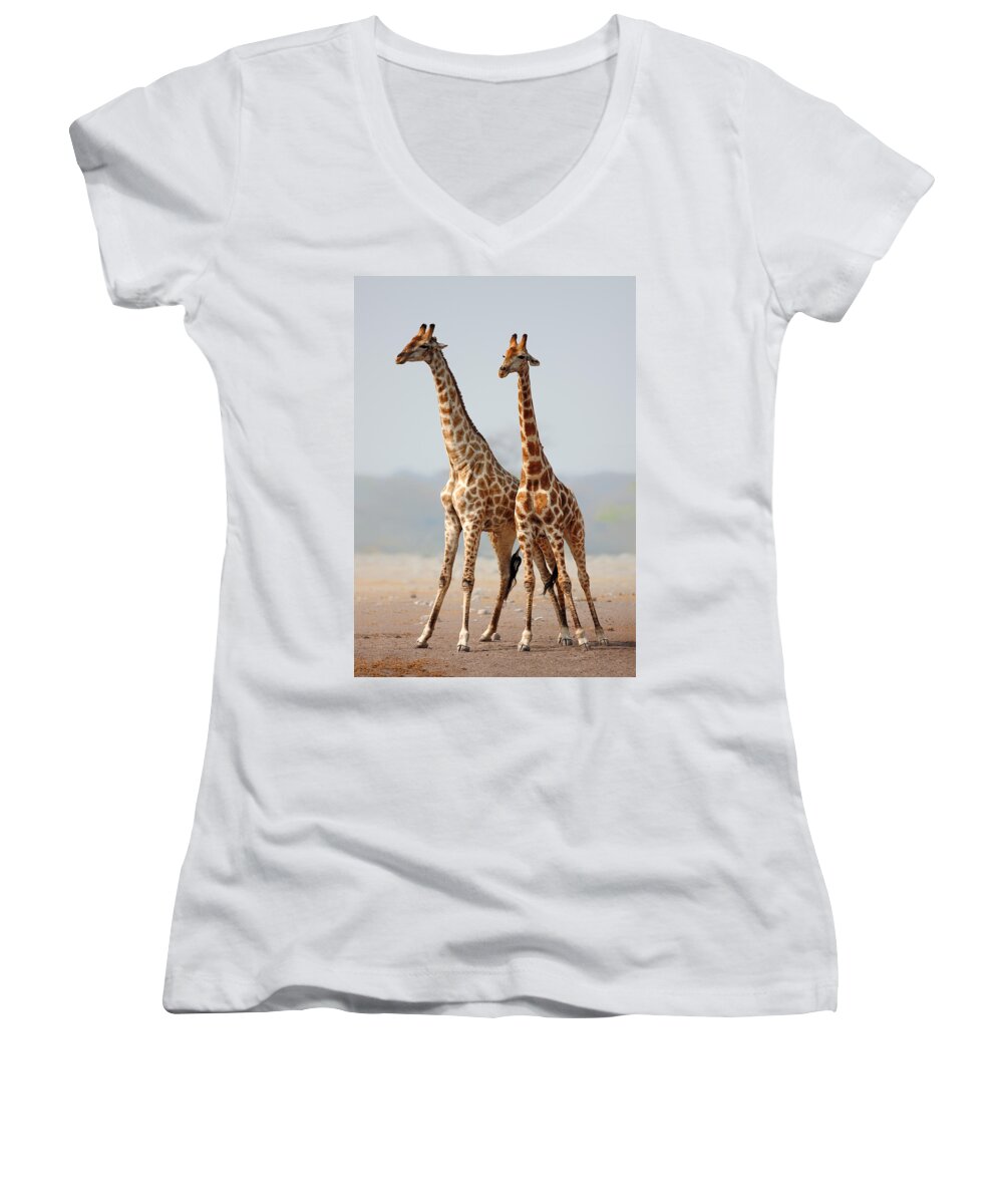 #faatoppicks Women's V-Neck featuring the photograph Giraffes standing together by Johan Swanepoel