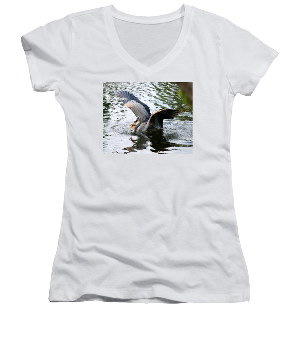 Heron Women's V-Neck featuring the photograph Great Blue Heron by Larry Ward
