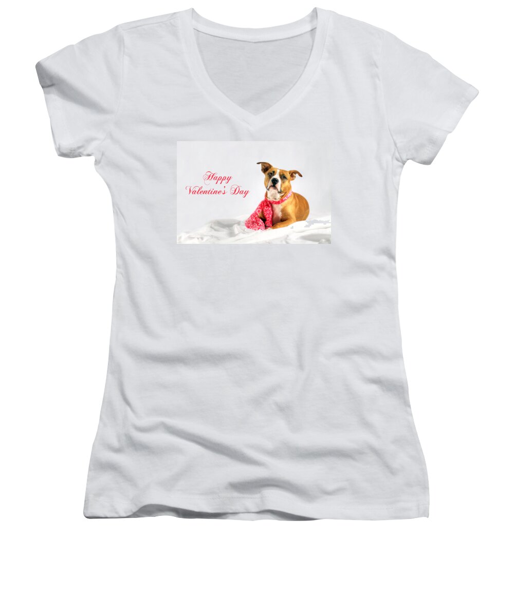 Fifty Shades Women's V-Neck featuring the photograph Fifty Shades of Pink - Happy Valentine's Day by Shelley Neff