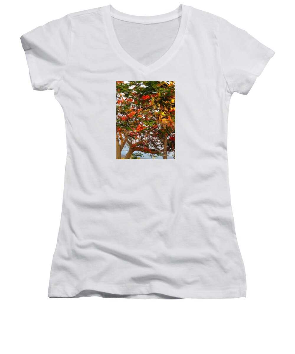 Trees Women's V-Neck featuring the photograph Heavenly Trees by Beth Saffer