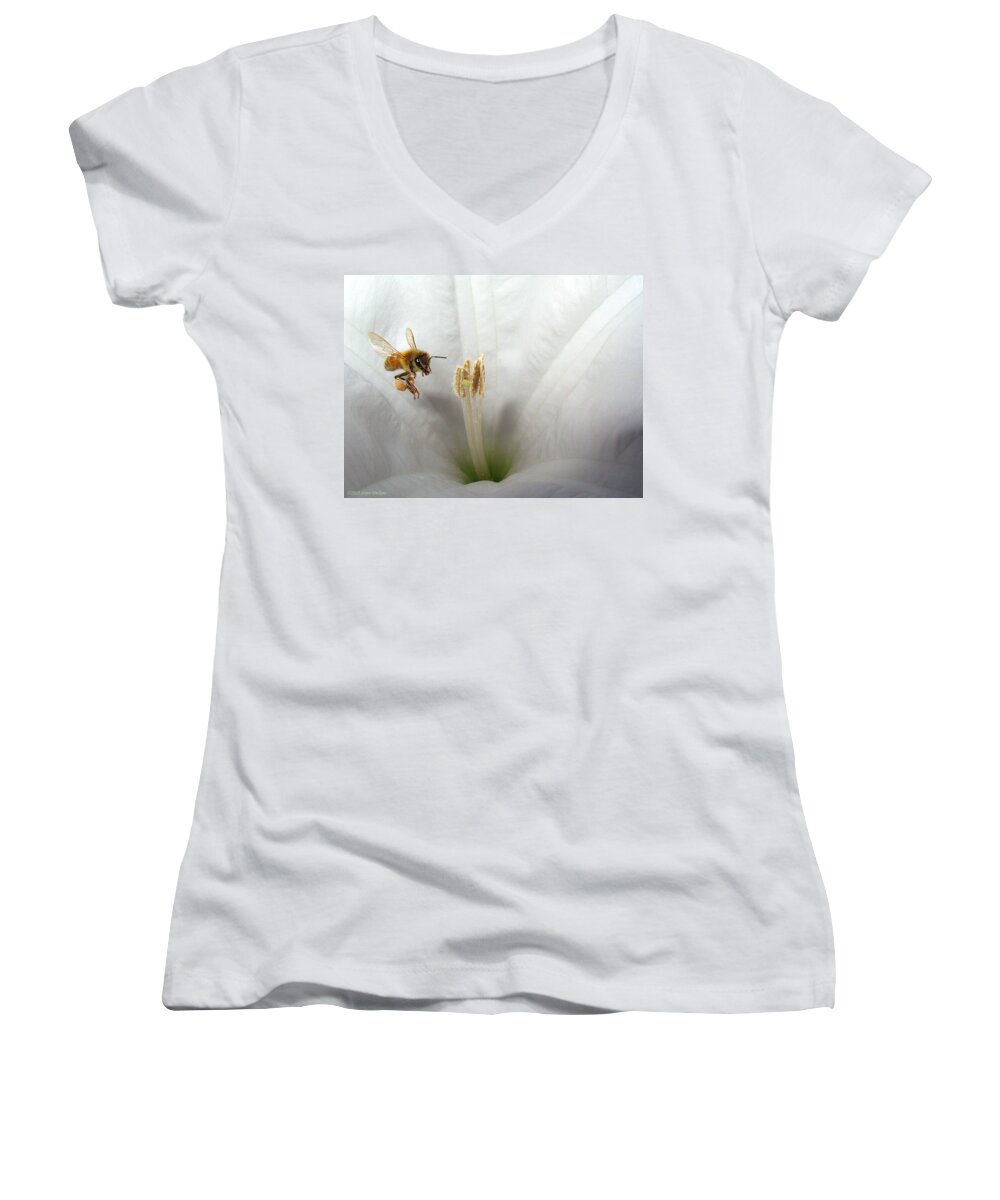 Bee Women's V-Neck featuring the photograph Honey Bee Up Close And Personal by Joyce Dickens