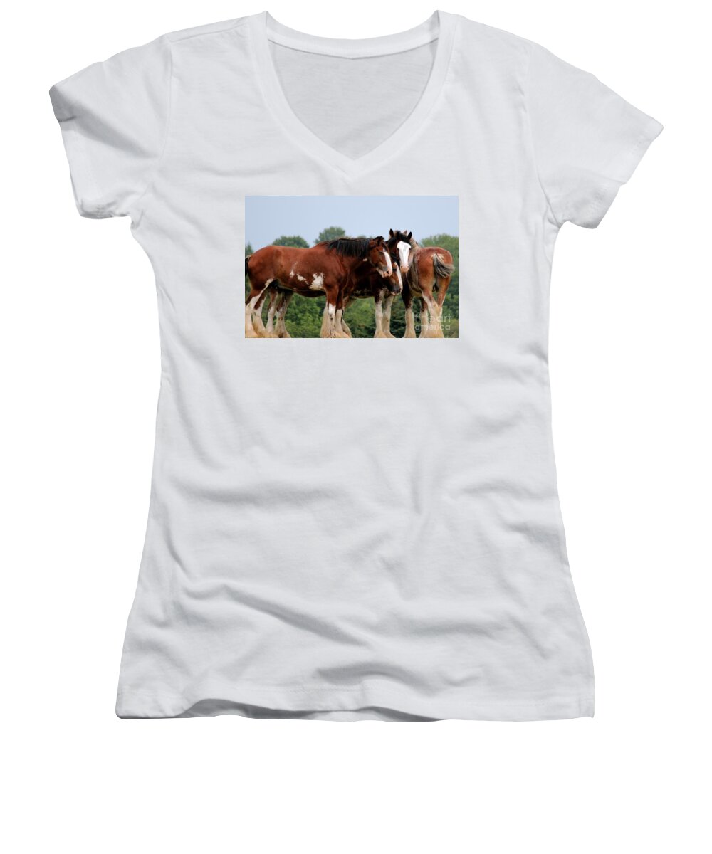 Horse Women's V-Neck featuring the photograph Horsie Huddle by Janice Byer